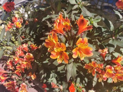 48.80370712277777,2.26725196833333