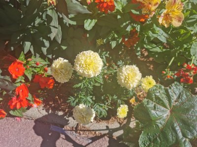 48.80353164666666,2.26688098888889