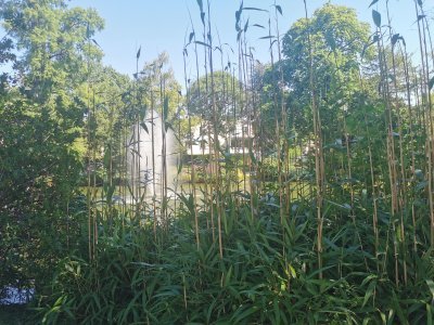 48.80397033666667,2.26758098583333