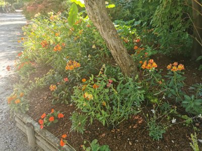 48.80397033666667,2.26758098583333