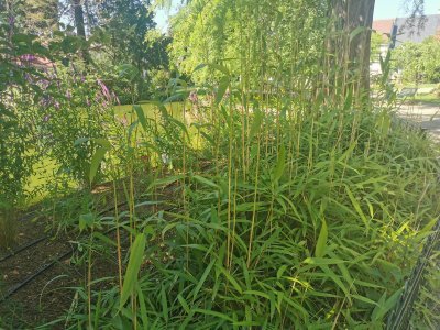 48.80329513527777,2.26811623555556