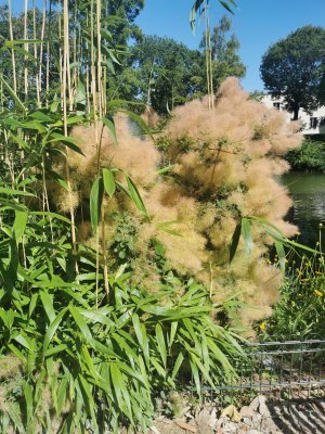 48.80347061138889,2.26715087888889