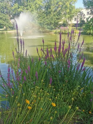 48.80347061138889,2.26715087888889