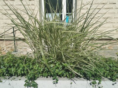 48.80361111111111,2.26694444444444