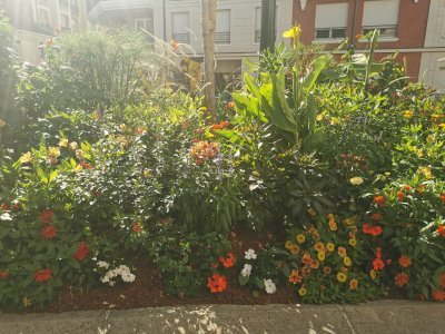 48.80377197249999,2.26698040944444