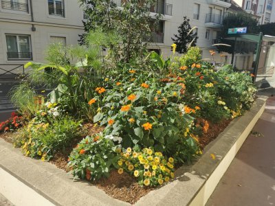 48.80377197249999,2.26698040944444