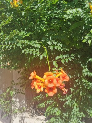 48.80698013305555,2.27011299111111