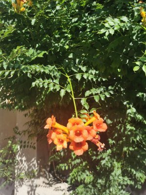 48.80698013305555,2.27011299111111