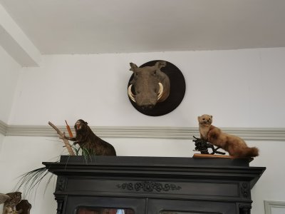 47.64860153194444,2.71960949888889