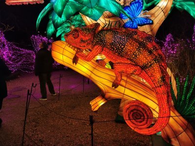 48.86466979972222,1.79620516277778