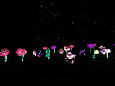 48.86395645138889,1.79472637166667