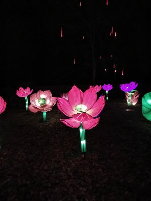 48.86388888888889,1.79444444444444