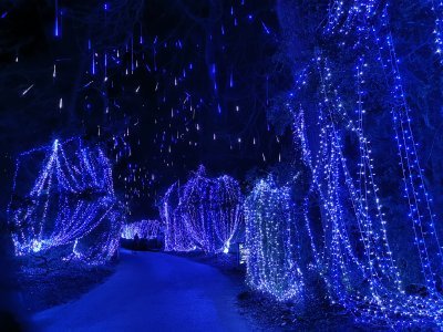 48.86361111111111,1.79333333333333