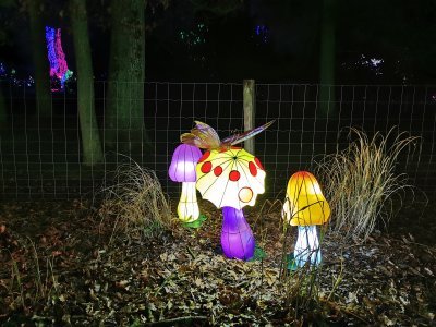 48.86305555555555,1.7925