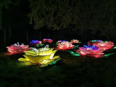 48.86304855333334,1.79262363888889