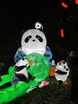 48.86232757555555,1.79278540611111