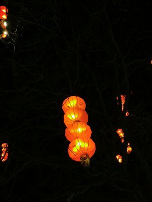 48.86232757555555,1.79278540611111