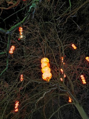 48.86277770972222,1.7926570175