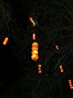 48.86279296861111,1.79271805277778