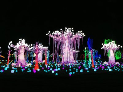 48.862335205,1.79286468027778