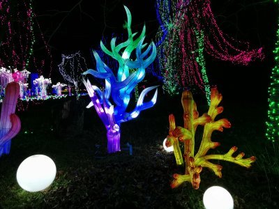 48.86179351805556,1.79320836055556