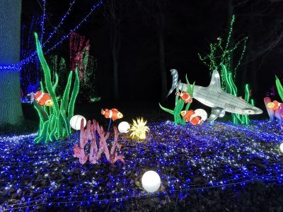 48.8616714475,1.79346787916667