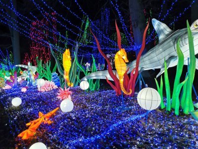 48.86152648916667,1.7935819625