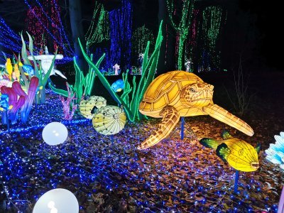 48.86149215694444,1.7935962675