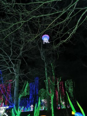 48.86145401,1.793682575