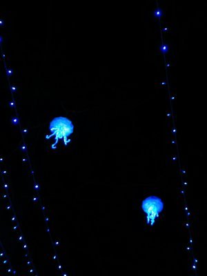 48.86139678944445,1.79378378388889