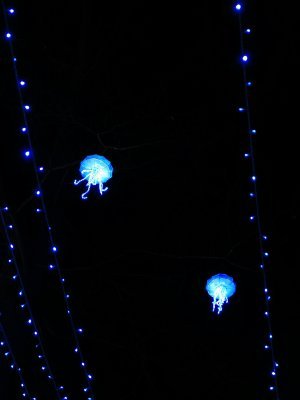 48.86137008666667,1.79379093638889