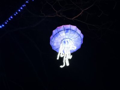 48.86232757555555,1.79278540611111