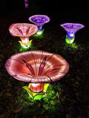 48.86146163916667,1.79467833027778