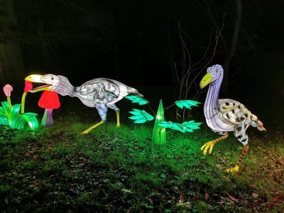 48.86145782444444,1.79509627805556