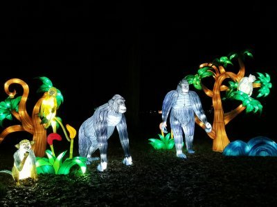 48.86169052111111,1.79619824861111