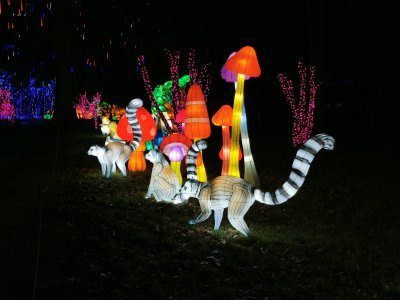 48.86178970333334,1.79651999472222