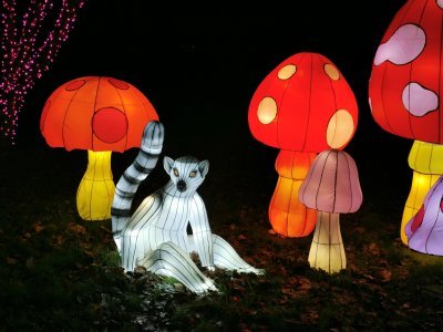 48.86186981194444,1.79658401