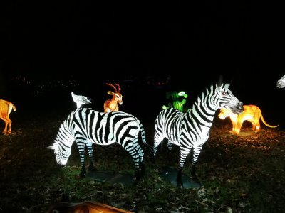 48.86257171611111,1.79593086222222