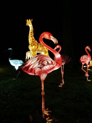 48.86258316027778,1.79584085916667