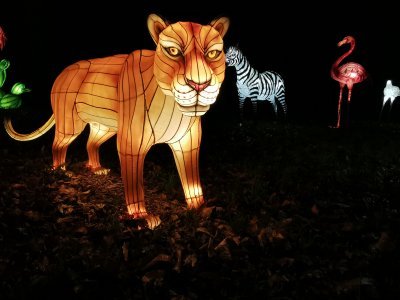 48.86265945416667,1.79580688472222