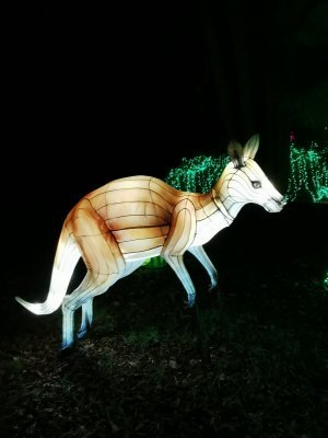 48.86265945416667,1.79580688472222