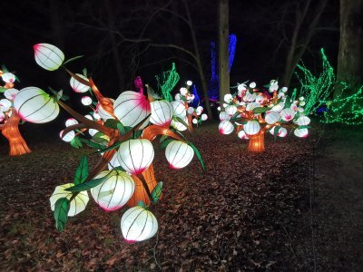 48.86270904527778,1.795523405