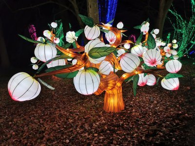 48.86553573583333,1.79870414722222