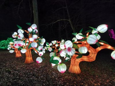 48.86278152444444,1.79525864111111