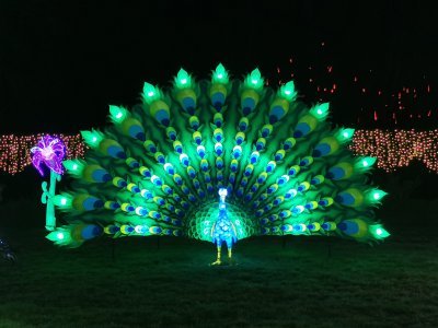 48.86326217638889,1.79497838