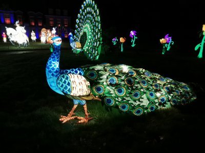 48.86328125,1.79531693444444