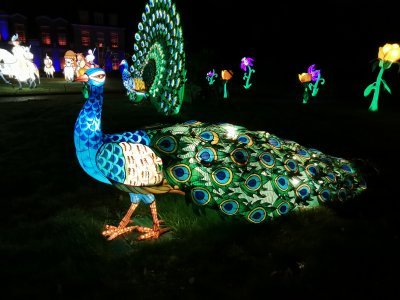 48.86328125,1.79531693444444