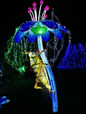 48.86321258527778,1.79430294027778