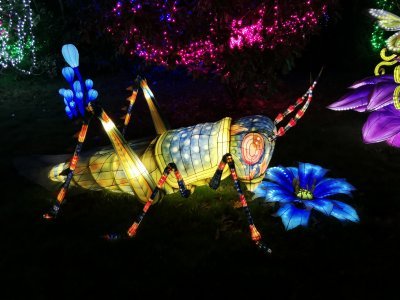 48.86297607416667,1.79375982277778