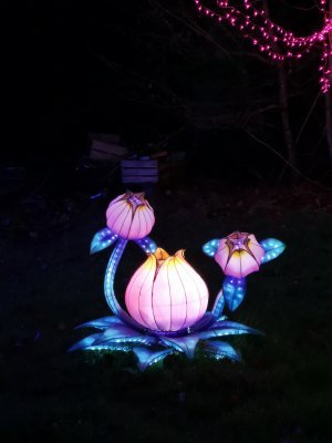 48.86289596555556,1.79359114166667